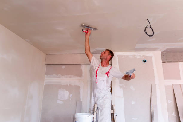 Best Acoustic or Soundproof Drywall Installation  in Friendly, MD